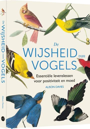 De wijsheid van vogels 9789045328850 Alison Davies, Verzenden, Zo goed als nieuw, Alison Davies