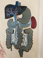 Van Goor - Unknown - Van Goors Anatomische Wandplaten 3 -