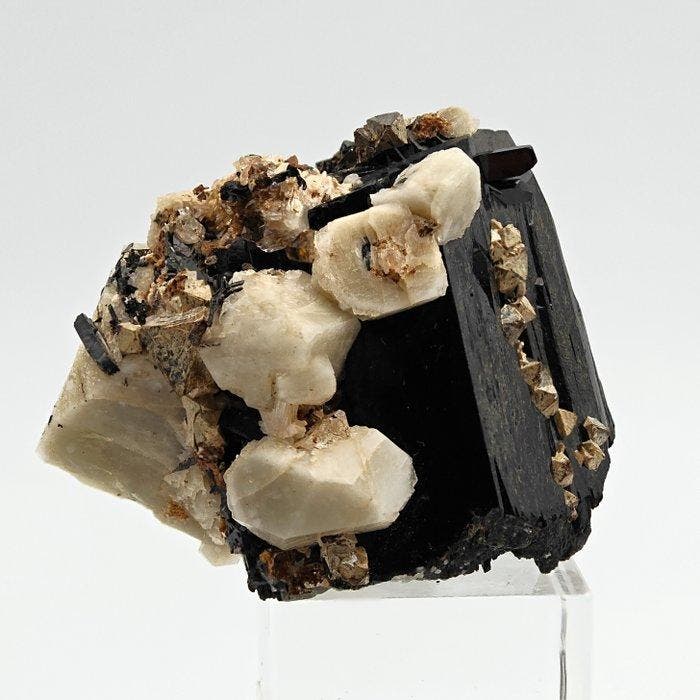 Zirconen op aegirine donkergroen en microklin wit, Malawi, Collections, Minéraux & Fossiles