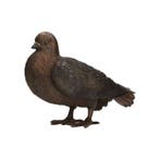 Beeldje - Lifelike Pidgeon - Brons