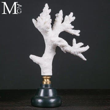 Wit Acropora Florida-koraal met ingewikkelde natuurlijke