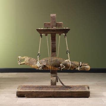 Krokodil Antiek Taxidermie Opgezette Dieren By Max, Ophalen of Verzenden, Opgezet dier