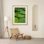 Gilliard Bressan - Victoria amazonica - XL