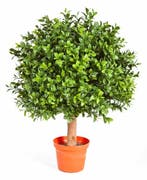 Kunstplant Buxus Plastic 50 cm, Huis en Inrichting, Kamerplanten, Verzenden