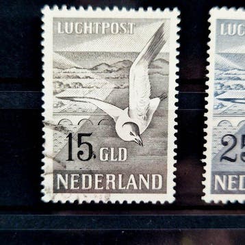 Pays-Bas 1951 - Affranchissement par voie aérienne Meeuwen, Gestempeld
