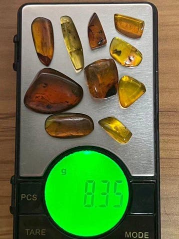 Insekt - Barnsteen - Burmit 10 Stück 8.35 Gr Burmit