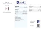 Zonder minimumprijs - Oorbellen Zilver - Amethist -