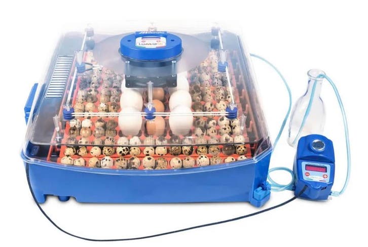 Borotto broedmachines (importeur) + gratis broedeieren, Animaux & Accessoires, Volatiles | Accessoires, Envoi