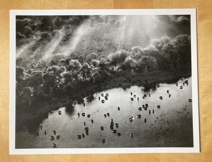 Sebastião Salgado (1944–2025) - Genesis. 2 works. Okavango, Antiquités & Art, Art | Objets design