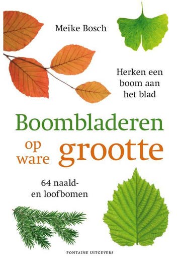 Boombladeren op ware grootte 9789059568419 Meike Bosch, Verzenden, Meike Bosch