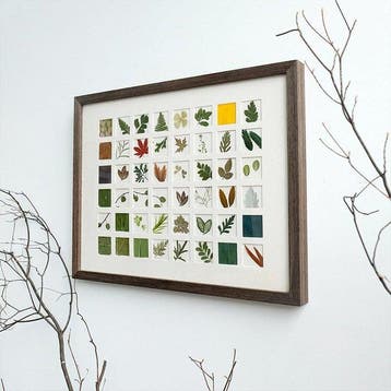 Bladeren van diverse planten Taxidermie volledige montage -, Antiek en Kunst
