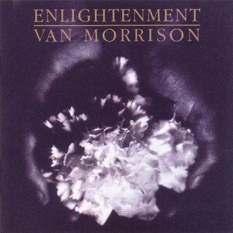 Van Morrison - Enlightenment (CD, 1990), Cd's en Dvd's, Cd's | Rock, Gebruikt, Verzenden