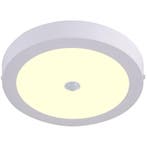 LED Downlight Opbouw 24W Met PIR Sensor, Warm Wit 2700K - OS, Huis en Inrichting, Lampen | Overige, Verzenden, Nieuw
