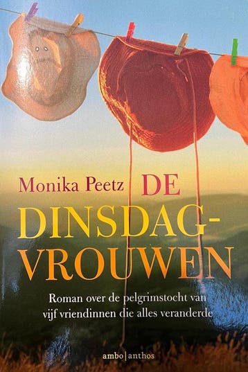 De dinsdagvrouwen - special Aldi 9789026355141 Monika Peetz, Verzenden, Gelezen, Monika Peetz