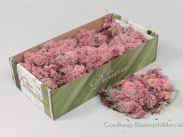 Rendiermos IJslandsmos Finlandsmos Roze 500 gram, Nieuw