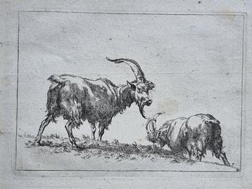 Nicolaes Pietersz. Berchem (1620–1683), attribuita - Capre