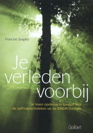 Je verleden voorbij 9789044130317 Francine Shapiro, Verzenden, Francine Shapiro