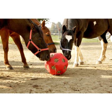 Hooibal hooiruif bal voederbal voor paard ezel rood - kerbl
