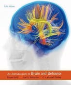 An Introduction to Brain and Behavior 9781464106019, Livres, Langue | Anglais, Verzenden, Bryan Kolb