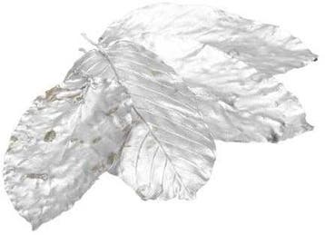 Sal Leaves Zilver ca. 15 cm 20 stuks