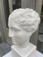 Beeld, Hoofd van de godin Hygieia - 46 cm - Steen