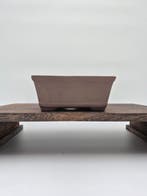Pot pour bonsaï 25x18x8 cm – céramique - Hauteur (arbre) : 0