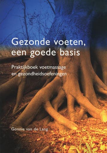 Gezonde voeten, een goede basis 9789080911215 Gonnie Lang, Verzenden, Zo goed als nieuw, Gonnie Lang