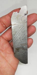 Belle meteorite Aletai. Météorite de fer - 169 g, Collections