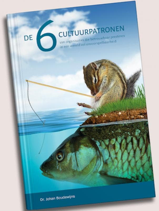 De 6 Cultuurpatronen 9789081064101 Johan Boudewijns, Boeken, Overige Boeken, Nieuw, Verzenden