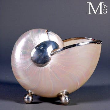 Cabinet de curiosités - Nautilus en nacre – Finitions