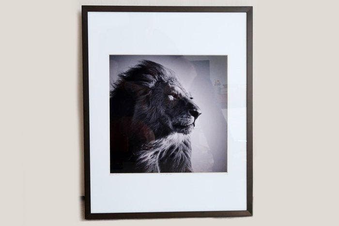 Laurent Baheux - Lion in compliance, Antiquités & Art, Art | Objets design