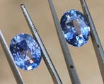 2 pcs Blauw Saffier - 6.12 ct - Gemological Institute of