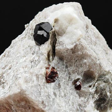 Alpine granaat, donkerrode getwiste almandinen Kristallen op, Verzamelen