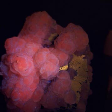 Calciet op sphaleriet met pyriet Fluorescerende - Hoogte: 16