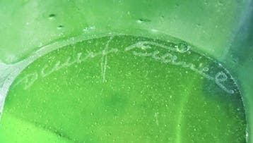 Daum - Kom - Ginkgo - Crystal Glass Paste