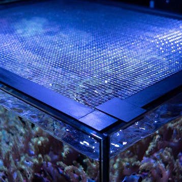 WaterBox Mesh Lid for INFINIA FRAG 175.6