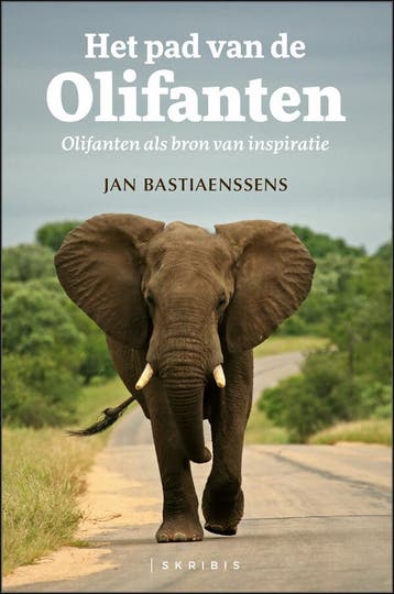 Het pad van de olifanten 9789464445015 Jan Bastiaenssens, Boeken, Verzenden, Zo goed als nieuw, Jan Bastiaenssens