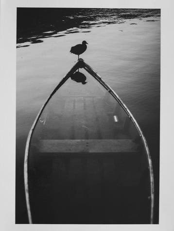 Jeremy Lempin - La barque du lac de Plav