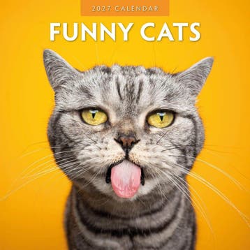 Red Robin Wall Kalender 2027 - Funny Cats, Ophalen of Verzenden