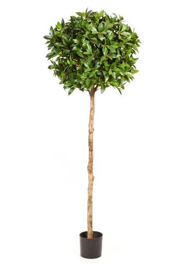 Kunstplant Laurier Bal Deluxe 170 cm, Verzenden