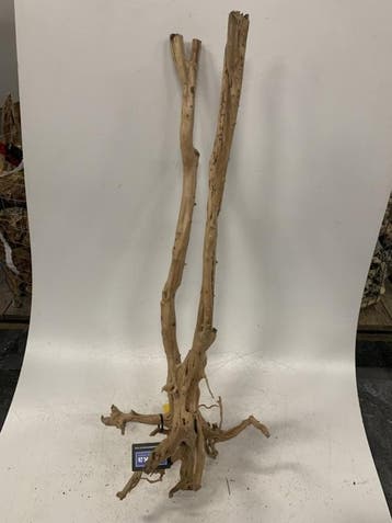Boutique Stump Selected BS102 - 113x40x39cm, Ophalen of Verzenden, Plant(en), Steen of Hout