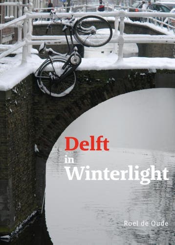Delft In Winterlight | Roel Oude | Nieuw, Verzenden, Nieuw, Roel Oude