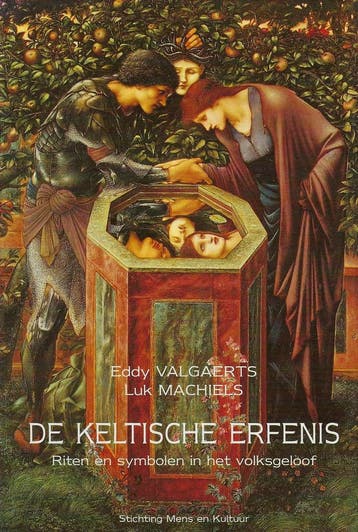 De Keltische erfenis 9789072931351 Valgaerts, Verzenden, Gelezen, Valgaerts
