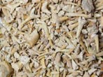 Requin - Dents fossiles - meerdere soorten (Sans prix de