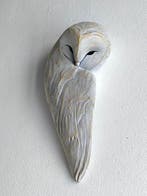 Federico Alibrio - Moonlight Weaver - Sleeping Barn Owl