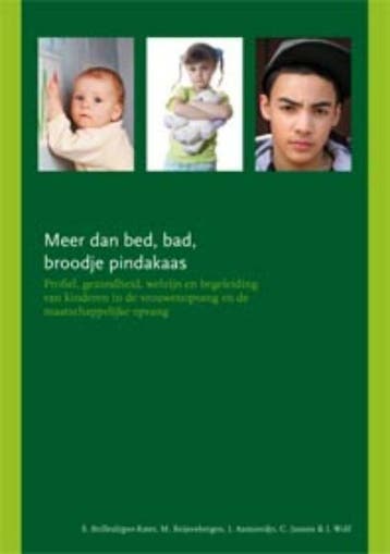 Meer dan bed, bad, broodje pindakaas 9789088501012, Boeken, Verzenden, Gelezen, Sonja Brilleslijper-Kater