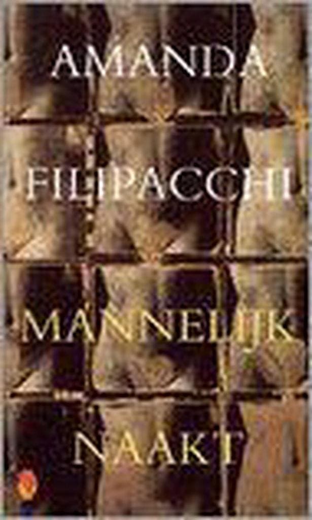 Mannelijk naakt / Flamingo pocket 9789041403971, Livres, Romans, Envoi