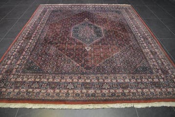Bidjar - Tapijt - 294 cm - 246 cm, Nieuw