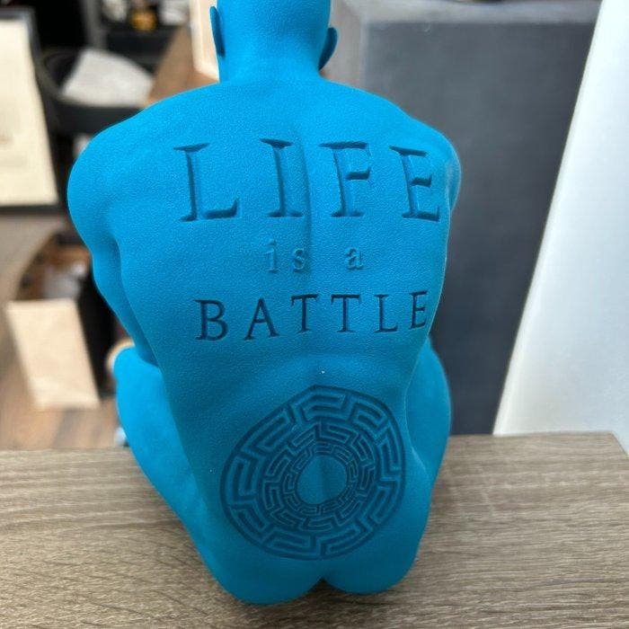 Andrea Giorgi - Life is a battle, Antiquités & Art, Art | Objets design