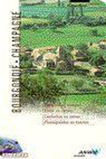Bourgondië en Champagne / ANWB goud 9789018009571, Verzenden, Gelezen, Tiny Keuning